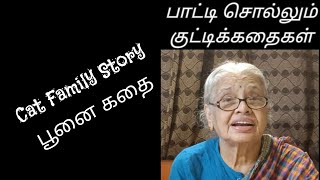 Bedtime story/Cat family story/பாட்டி சொல்லும் கதை/பூனை கதை