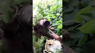 #sniper Annoying some cheaters in #airsoft #army #