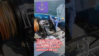 This is how we drop the Anchor & how the anchor works #anchor #asdtug #asdtugmaster