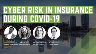 Cyber Risk during COVID-19