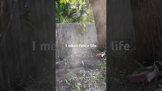 Fencelife #2 #diy #fencebuild #construction #ford #fence #jobsite #dodge #trending #homeownership