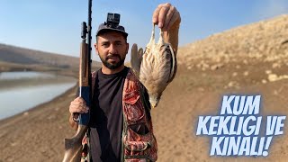 KINALI VE KUM KEKLIK AVI 2022 - SHOTKAM ILE NET VURUSLAR - PARTRIDGE HUNTING