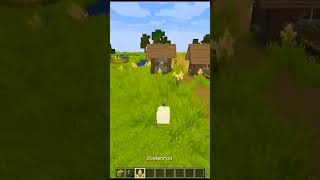 Blowing up a village with 1 tnt