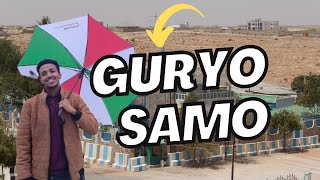 GURYO SAMO HARGEISA 2024