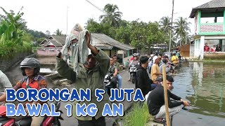 JADI PUSAT PERHATIAN !! BORONGAN BAWAL 5 JUTA SAMPING JALAN