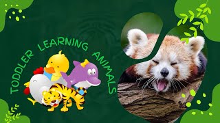 Kid Learning Animals#isharasamofira #kidlearninganimals #learninganimals #toddlerlearning #education