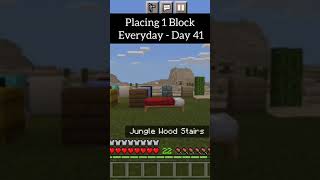 Placing 1 Block Everyday Day 41