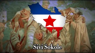 "Sivi Sokole" - Yugoslav War Song