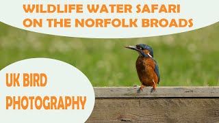 WILDLIFE WATER SAFARIES ON THE NORFOLK BROADS