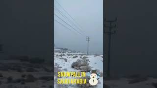 You Can't Beleive that this is Saudi Arabia!!❄️||Snowfall in Saudi Arabia||Snowfall in Tabuk||Snow||