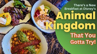 A new Breakfast at Animal Kingdom Breakfast you gotta try!