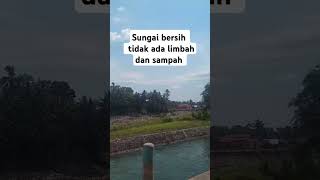 Sungai bersih tidak ada limbah dan sampah #suasanapedesaan #vidioshort  #viralshort #nature