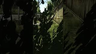 Death by Scav in Escape from Tarkov