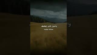 ١٥ نوفمبر، ٢٠٢٤