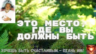 📗Роберт АДАМС📖Вы были вынуждены придти сюда📗 #Аудиокнига