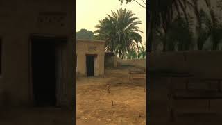 Pure village life and Mudd house at pak/india border|border village life.