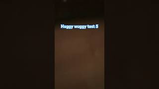 Huggy wuggy test 5