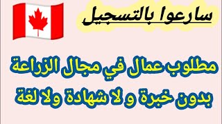 سارعوا بالتسجيل لفرصة العمر 🇨🇦 😰✋ مطلوب عمال في مجال الزراعة  #بدون_خبرة #بدون_لغة #وبدون_شهادة