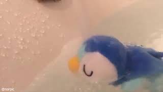 SPLISH SPLASH DIS DUCK IS TAKIN A BATH