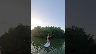 SUP Lessons