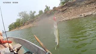 Trolling Crankbaits for Walleye and Sauger