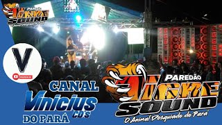 CD AO VIVO PAREDÃO TIGRE SOUND NA R.J - DJ PEDRINHO MIX (PARTE 2)