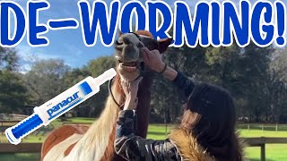 DE-WORMING ALL MY HORSES!