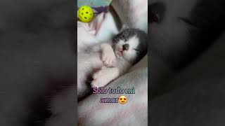 La primera vez que te vi 😍 - Por lucky.cat29