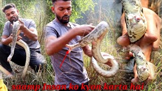 सांप के पास पैर और दो लिंग सच में होता है, देखें इस वीडियो में Snake Expert