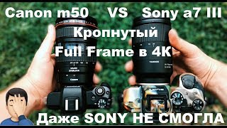 Обзор Canon m50 vs Sony a7 III