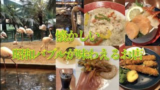 【縦動画】フラミンゴを見ながら食事です　#Shorts