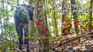 Mencari jawapan kepada 2 persoalan. Kembali ke lokasi episod lepas.