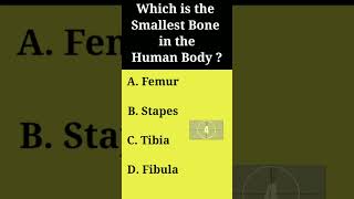 which is the smallest bone in the human body ? 🤔 | #shorts