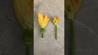 Squashes have female & male flowers