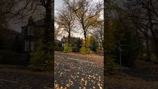 A Glimpse of Autumn 🍂  #autumnleaves #autumnvibes 🥰 #Scotland #UK #Glasgow #Autumn #WinterIsComing