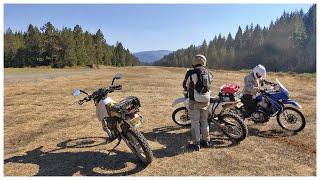 Group Ride to Rogue Forest, Oregon || Prospect OHV || Suzuki DR350