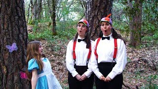 Alice in WordPress Land Meets Tweedle Dee and Tweedle Dum (Alice in Wonderland Parody Video)