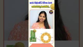 అండు కొర్రలు ఆరోగ్య ప్రయోజనాలు| Health Benefits of Andu Korralu in Telugu #korralu #healthtips