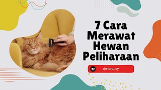 7 Cara Merawat Hewan Peliharaan #hewanpeliharaanlucu #satwa #tips