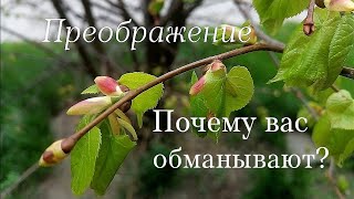 Если вы хотите обмануть, обманут вас