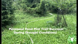 HS360 2023 Food plot & corridor drought success with liquid soil conditions/fertilizers Part one