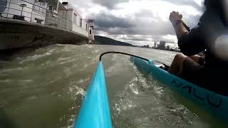 Surfing the paddle wheel steamer