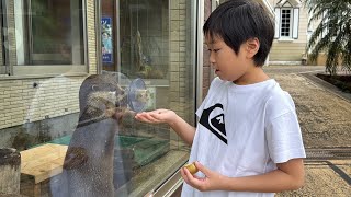 レオくんがおでかけしてみた！下田海中水族館！ Part51 レオスマイル