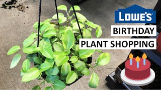 Birthday 🎂 Big Box Store Plant Shopping: Plants Are Fully Stocked at Lowe’s!