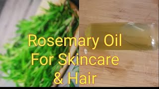 How to make Rosemary Oil At Home For Skincare, Hair growth and Body