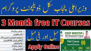 CM Punjab Skill Development Program 2024: Free IT Courses | How to Apply Online