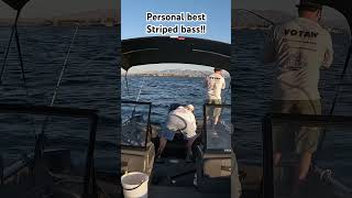 Catching my personal best striped bass! #stripedbassfishing #fishing #personalbest #lakehavasu