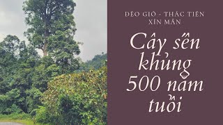 Cung đường du lịch tây Hà Giang. Đèo Gió-Thác Tiên