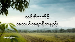 နေ့စဉ်ခွန်အား | ၂၀၂၄ ခုနှစ်၊ သြဂုတ်လ (၃၀) ရက်