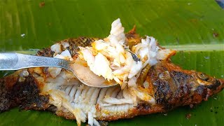 Grilled Fish | গ্রিল করা তেলাপিয়া মাছ  | Fish Barbeque Recipe | Grill Fish Recipe